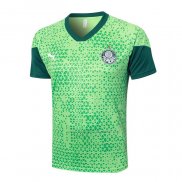 Camiseta de Entrenamiento Palmeiras 2024-2025 Verde